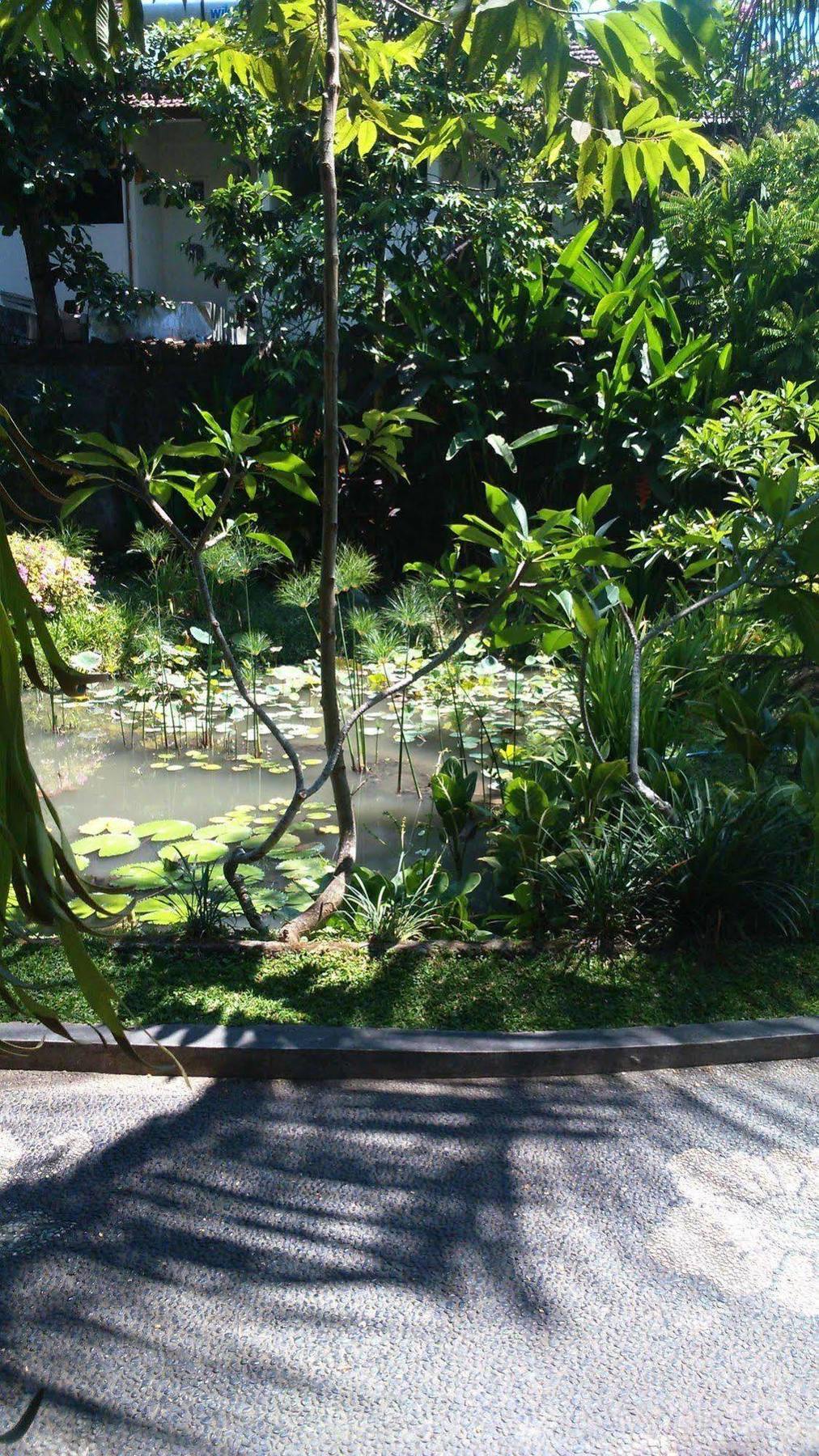 Puri Dalem Wisma tamu Ubud (Bali)